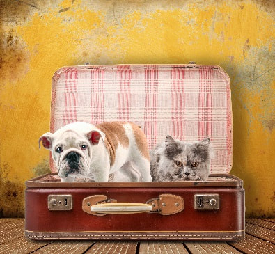 Air Canada cuts pets and luggage