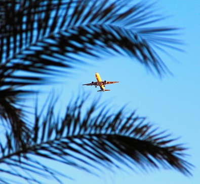 Book your low-cost airline tickets to Florida with FlyForLess.ca