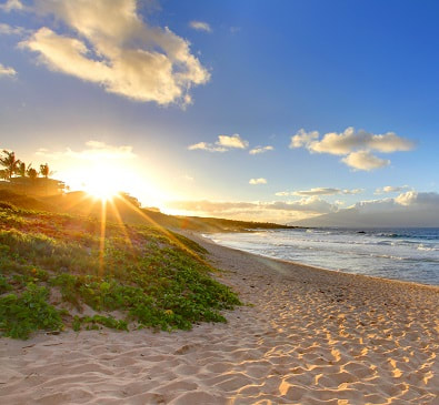 Book your cheap tickets to Hawaii with FlyForLess.ca