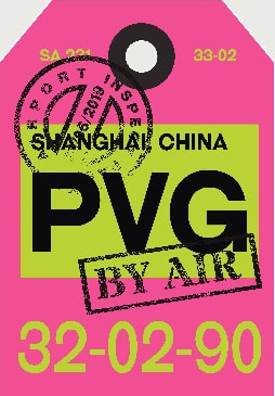 Information and Travel Guide for Shanghai Pudong International Airport